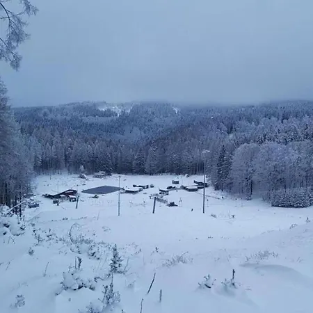 In Hinterrod Thuringia With Sauna Dom wakacyjny