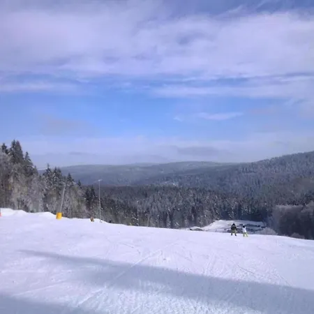 In Hinterrod Thueringen Mit Sauna Prázdninový dům Eisfeld