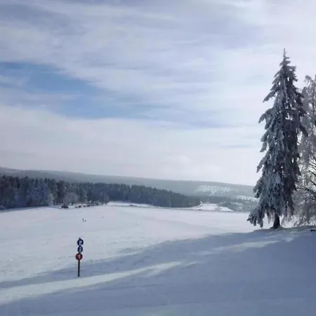 In Hinterrod Thueringen Mit Sauna Eisfeld